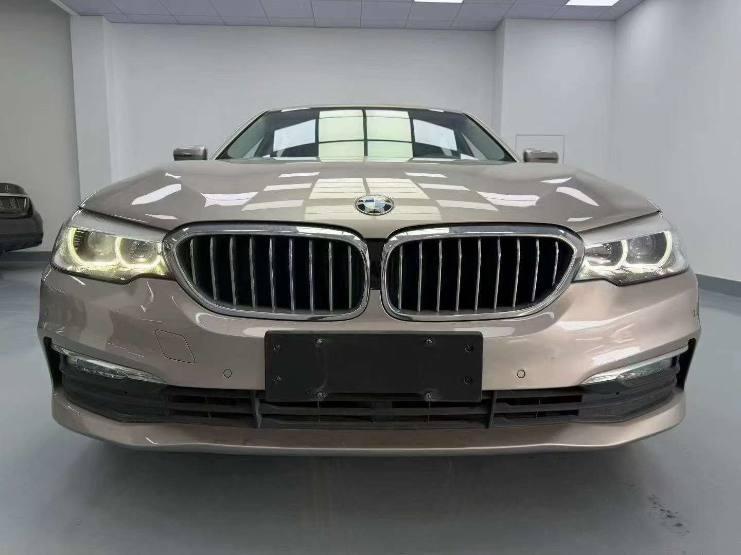 BMW 5 Series 528Li 2