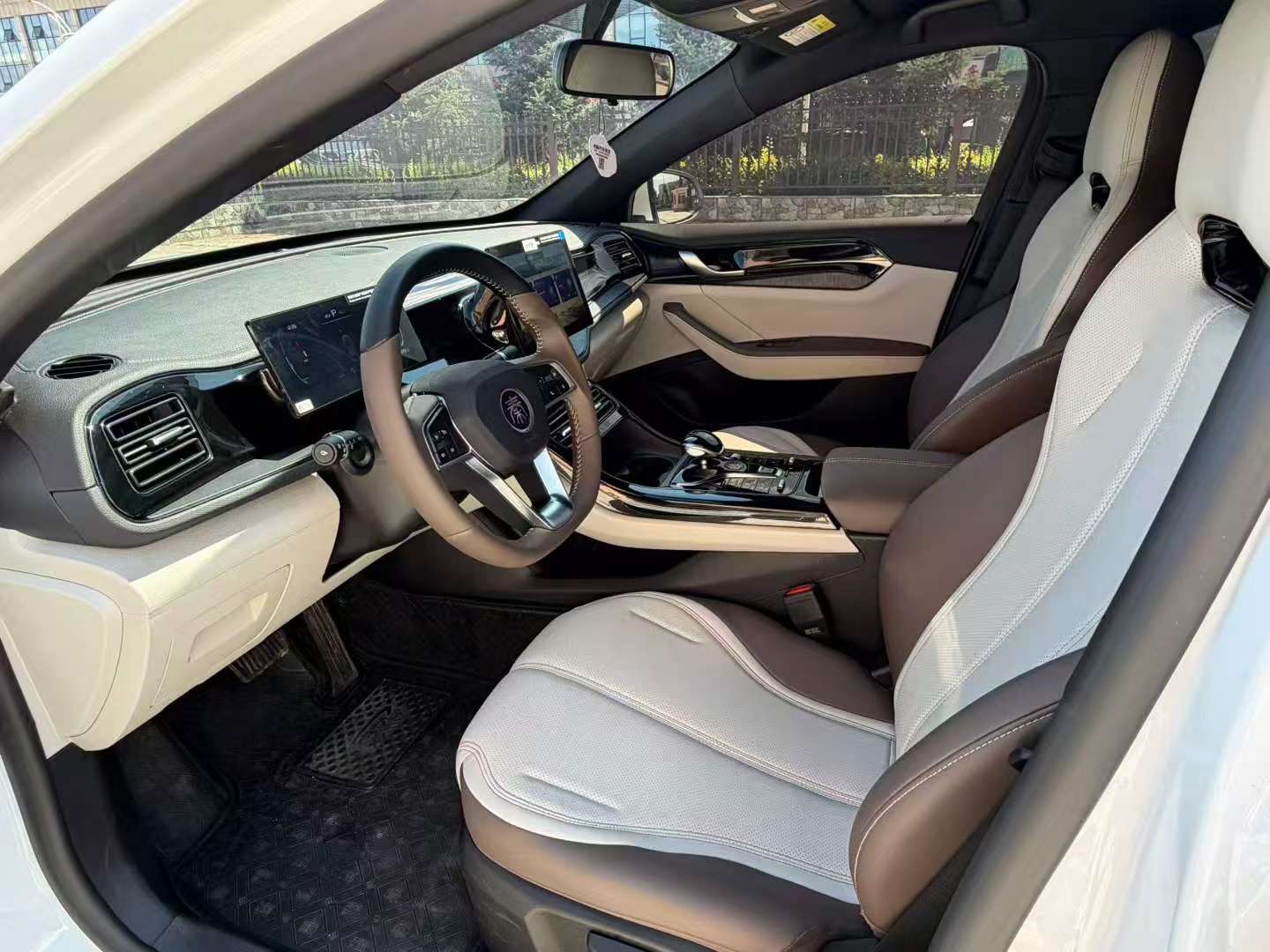 BYD Qin Plus 55KM Leading Edition 5