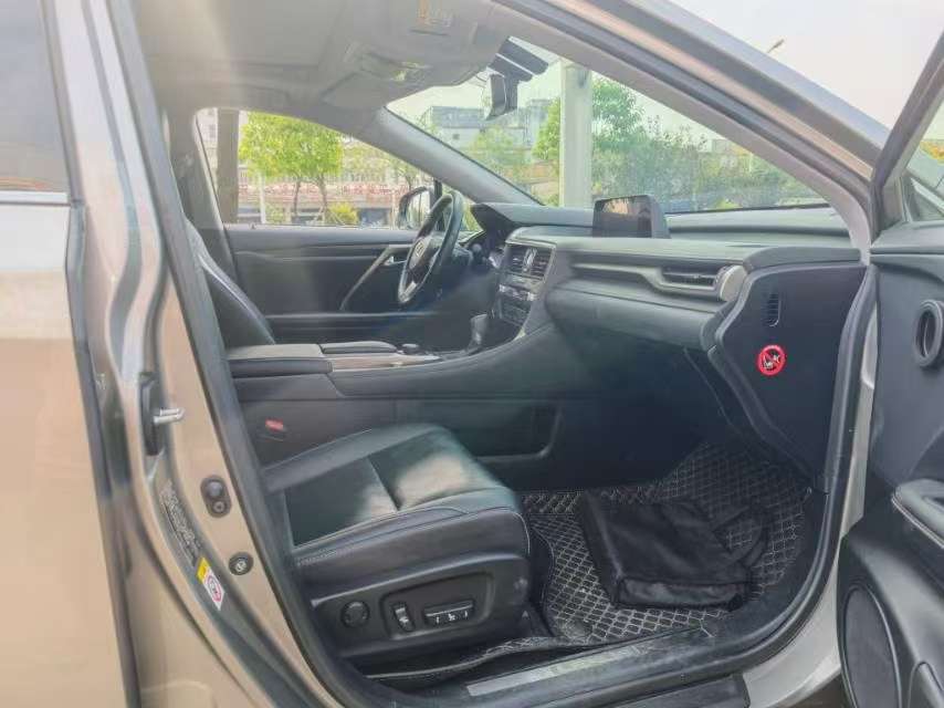 Lexus RX 300 AWD Elegance Edition 8