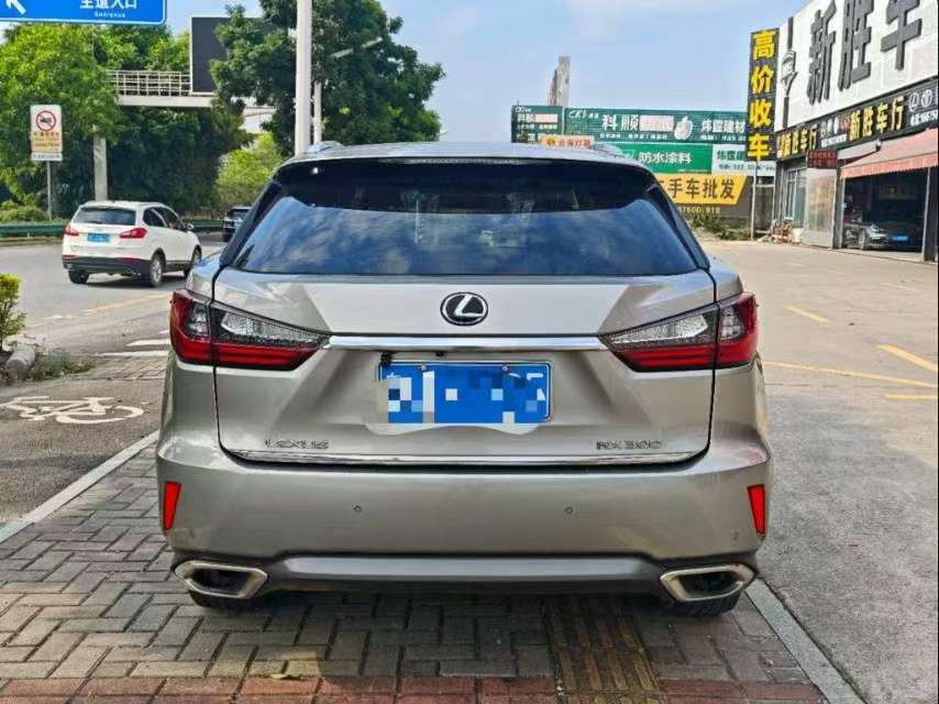 Lexus RX 300 AWD Elegance Edition 4