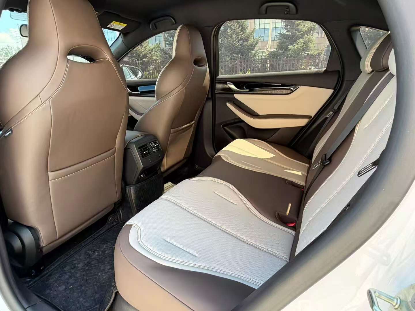 BYD Qin Plus 55KM Leading Edition 6
