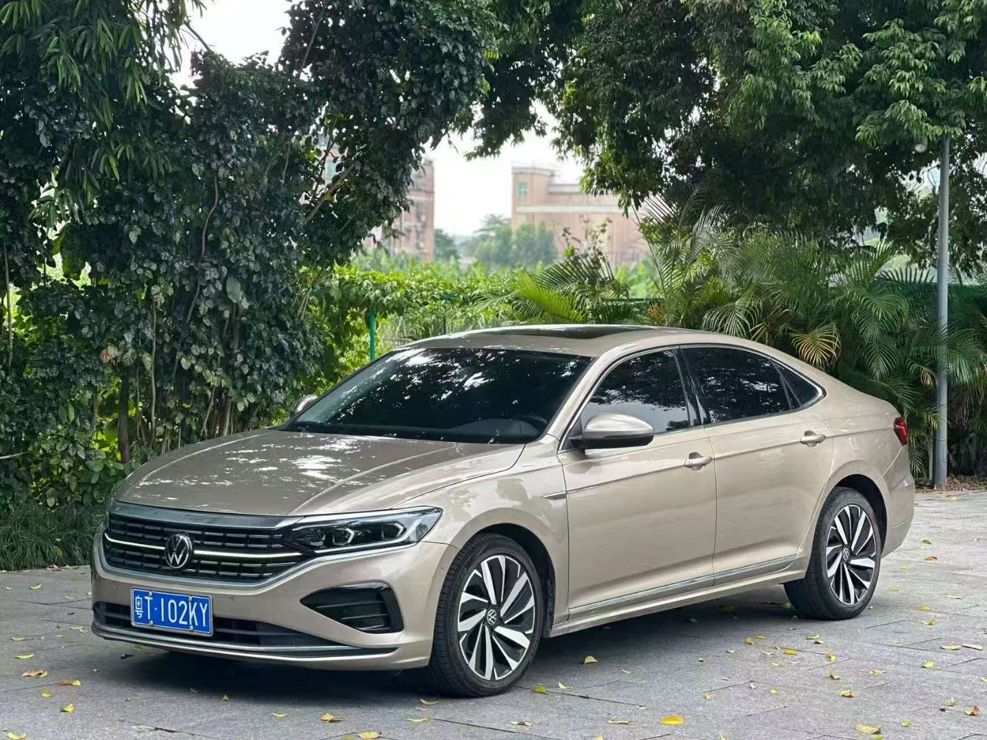 Volkswagen Passat 2.0T Starry Sky Premium Edition