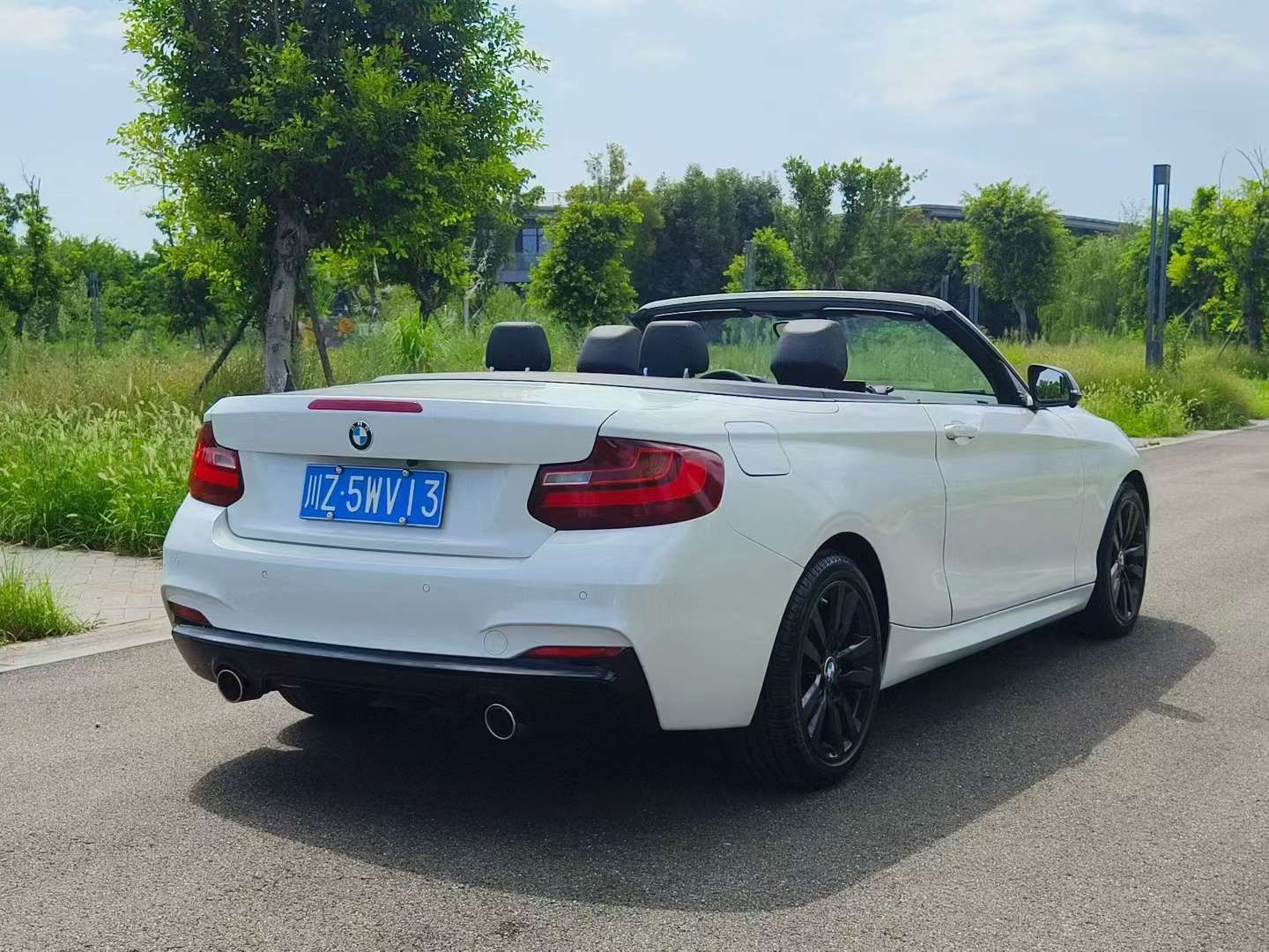 BMW 2 Series 2017 220i Convertible Leading Edition 8