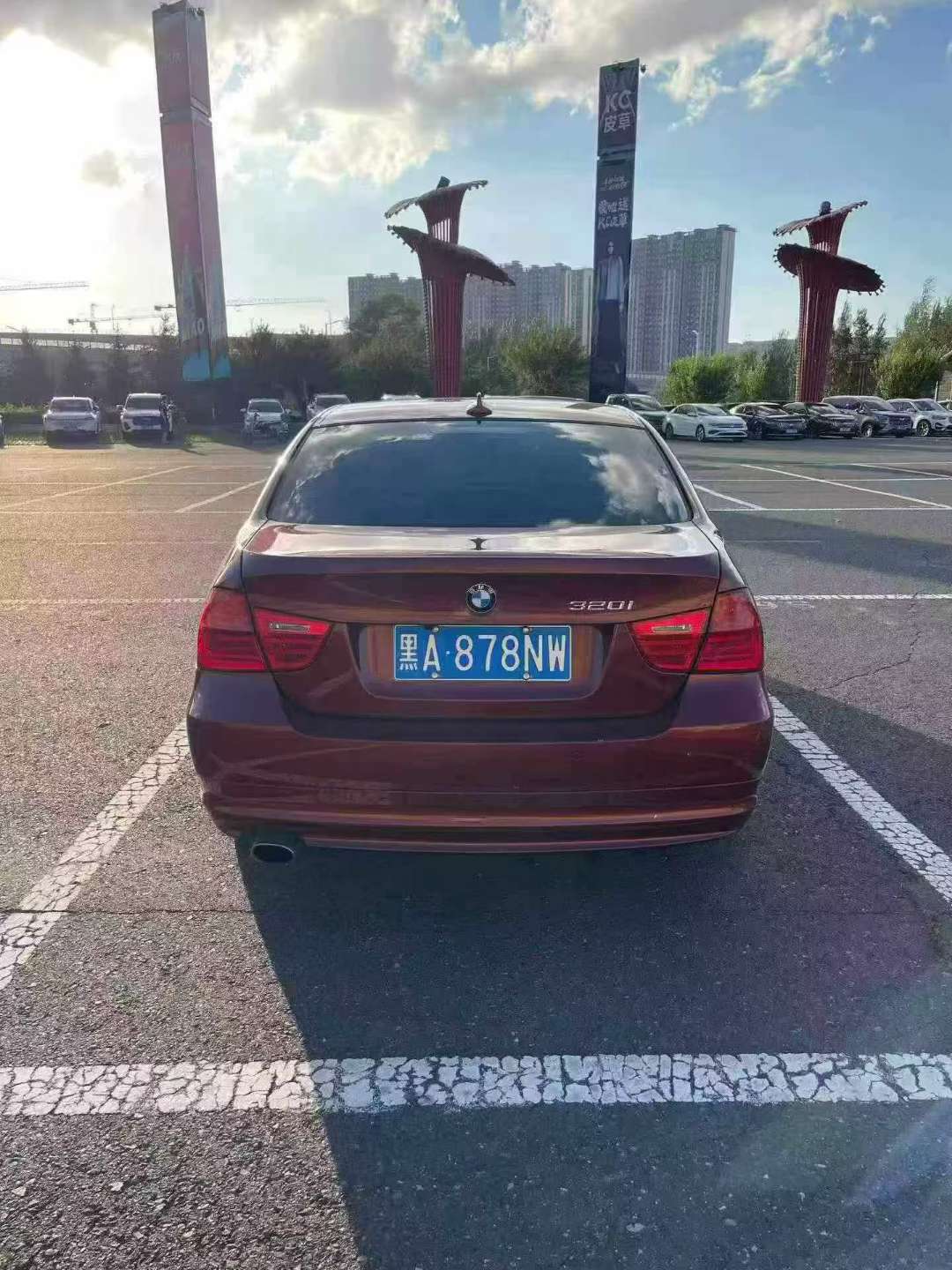 BMW 3 Series 2010 320i 6
