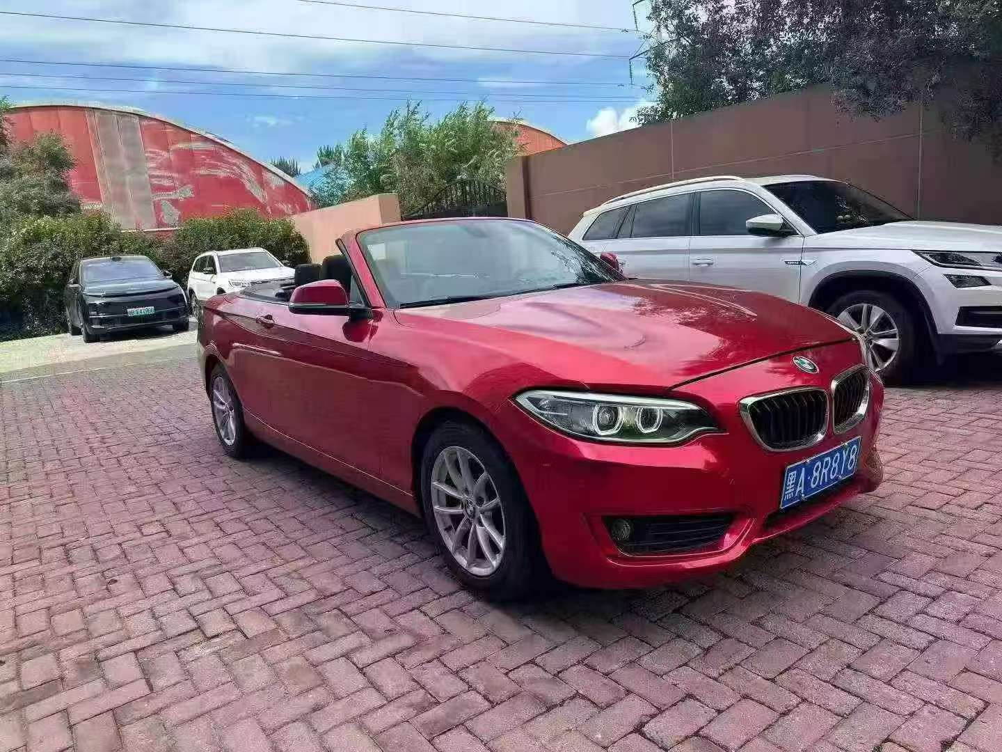BMW 2 Series 2015 218i Soft Top Convertible 3