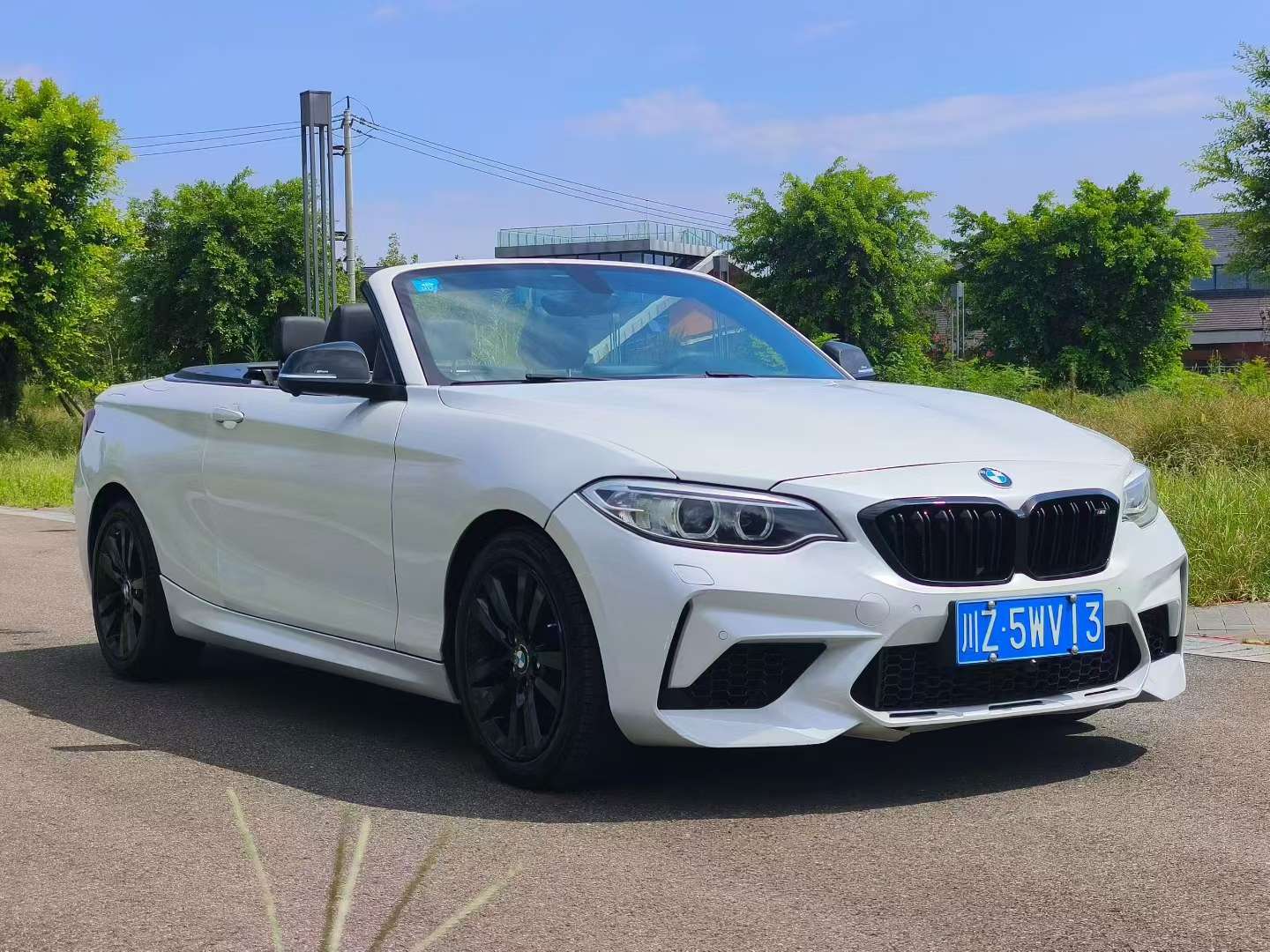 BMW 2 Series 2017 220i Convertible Leading Edition 3