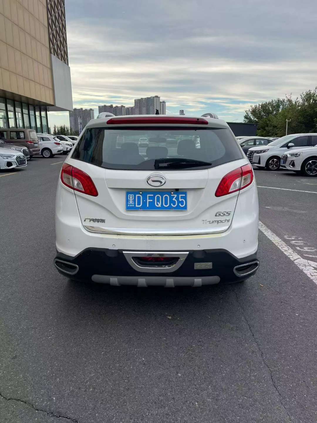Trumpchi GS5 2.0 Manual 6